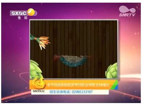 陜西電視臺好管家《直通陜烹院》