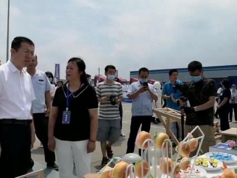 世界青年技能啟動日 省人社廳景廳長參觀我院展臺