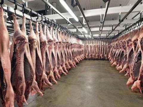 美食文化系列談（六）|～小時候的味道