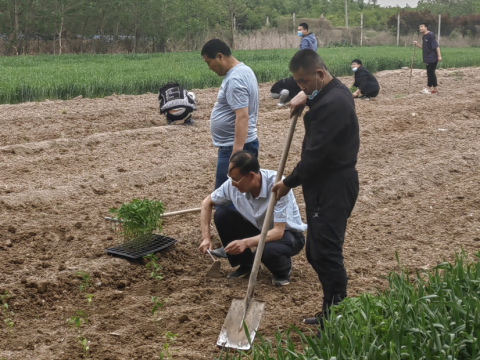 活動(dòng)丨種植實(shí)踐，拓展人生