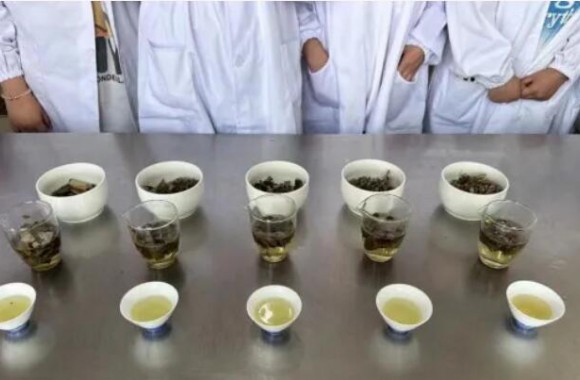 如法炮制技藝強，古法今制傳承忙 陜西旅游烹飪職業學院《中醫食療藥膳學》期末采取了“以賽代考”的檢測模式