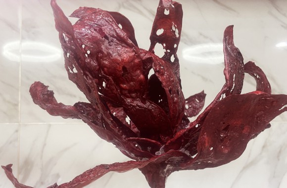 藺老師翻糖威化紙作品