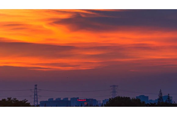 “春日萌動 定格光影”攝影大賽作品評比結果公示